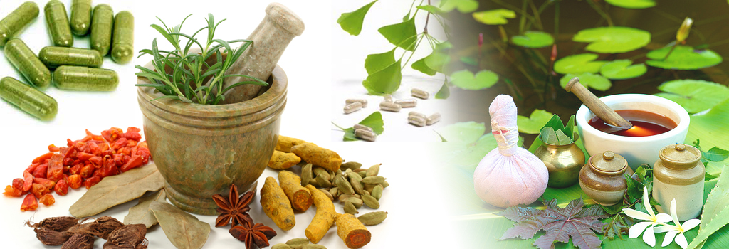 Amoda,Amoda spa and salon,Amoda Wellness Academy,Best Spa and Salon in Sarjapur,Best Massage Course in bangalore,Best body Massage training center in bangalore,Best body Massage training center in india,best spa and salon in inorbit mall whitefield,best spa in whitefield,best salon in  whitefield,best unisex salon in whitefield,best ayurvedic treatment center in whitefield,best spa and salon in whitefield,Best Spa training institute in sarjapur,Best Wellness Academy in sarjapur,Best spa massage center in sarjapur,Best Salon in sarjapur,Best Spa and Salon in Varthur,Best Spa training institute in Varthur,Best Wellness Academy in Varthur,Best spa massage center in Varthur,Best Salon in Varthur,Best Spa and Salon in whitefield,Best Spa training institute in whitefield,Best Wellness Academy in whitefield,Best spa massage center in whitefield,Best Salon in whitefield,Best Spa and Salon in marathalli,Best Spa training institute in marathalli,Best Wellness Academy in marathalli,Best spa massage center in marathalli,Best Salon in marathalli,Best Spa services at Bangalore,Best Ayurveda massage at Bangalore,Best Salon services at Bangalore,Best Massage at Bangalore,Best Home massage at Bangalore,Best Spa Training In India,Best Spa Training at Bangalore,Best Ayurveda Course in India,Best Spa Management courses in India,Best Spa Diploma courses,Best Ayurveda Diploma Courses,Best Spa Management Courses,Best Thai Massage at Bangalore,Best Yoga classes at Bangalore,Best Yoga Diploma courses in India,Best Beautician course at bangalore,Best Hair Dressing courses at bangalore,Best Hair dressing courses in India,Best Spa at Whitefield,Best Spa at electronic city,Best Spa at marathalli.